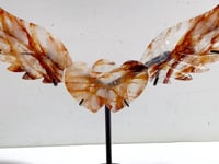 Unique Red Fire Quartz Heart Wing Carving With Stand