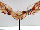 Unique Red Fire Quartz Heart Wing Carving With Stand