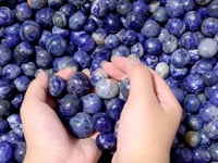 Blue Sodalite Tumbled Wholesale