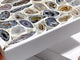 Agate Geode Crystal 25-35pcs A Set Box Wholesale