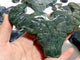 Moss Agate Ox Head Carving Wholesale