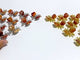 Stripe Carnelian Crystal Butterfly Wholesale