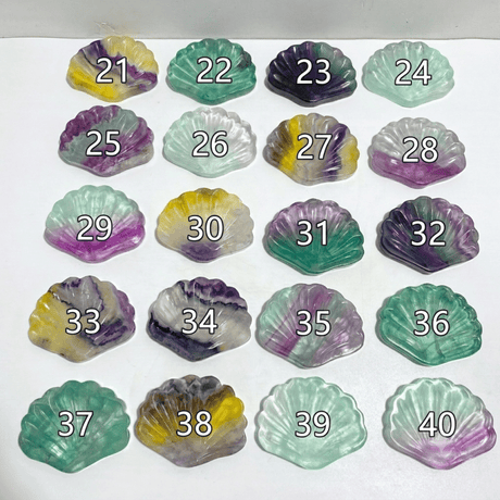 Rainbow Fluorite Shell Wholesale (No.21-40) -Wholesale Crystals