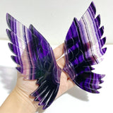 Rainbow Fluorite Symmetry Owl Wing Carving With Stand -Wholesale Crystals
