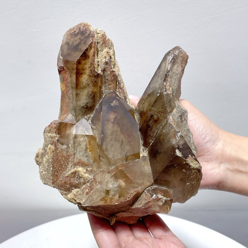 Smoky Quartz Mixed Garden Quartz Specimen #2 - Wholesale Crystals