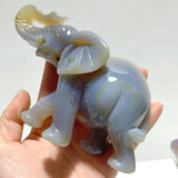 Unique 2 pieces Geode Agate Druzy Elephant Carving - Wholesale Crystals