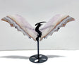 Unique Amethyst Mixed Agate Flying Dragon Wing Carving With Stand - Wholesale Crystals