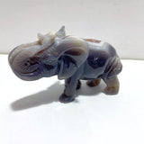 Unique Amethyst Mixed Geode Agate Druzy Elephant Animal Carving A07 - Wholesale Crystals