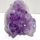 Unique Amethyst Mixed Geode Druzy Agate Elephant Animal Carving A11 - Wholesale Crystals