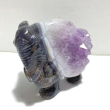 Unique Amethyst Mixed Geode Druzy Agate Elephant Animal Carving A15 - Wholesale Crystals
