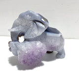 Unique Amethyst Mixed Geode Druzy Agate Elephant Animal Carving A17 - Wholesale Crystals