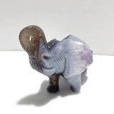 Unique Amethyst Mixed Geode Druzy Agate Elephant Animal Carving A18 - Wholesale Crystals