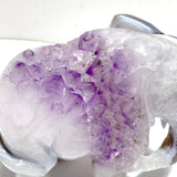 Unique Amethyst Mixed Geode Druzy Agate Elephant Animal Carving A19 - Wholesale Crystals