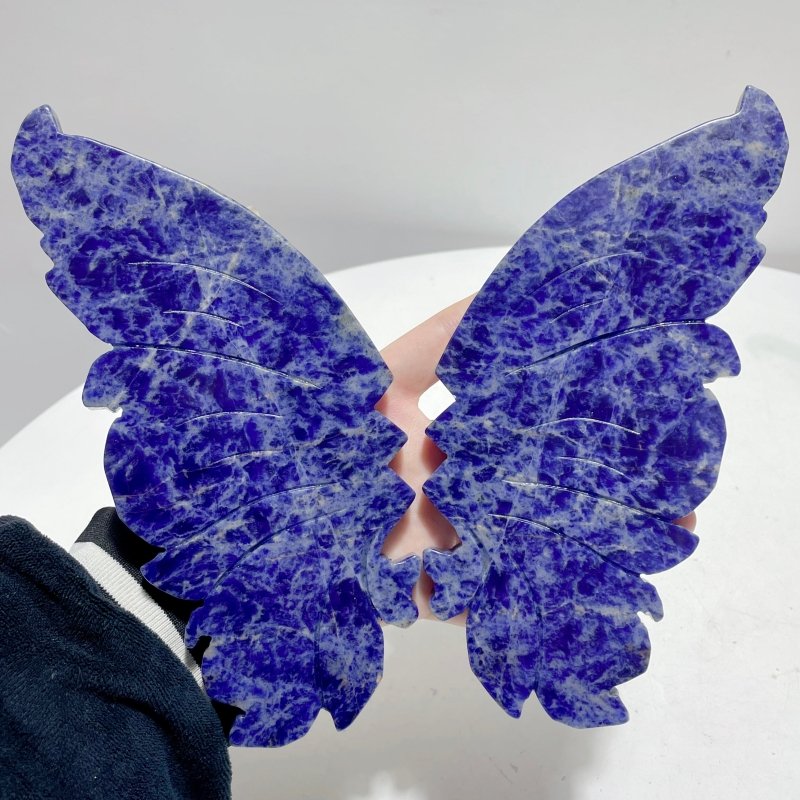 Unique Blue Sodalite Butterfly Wing Carving With Stand - Wholesale Crystals