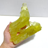 Unique Citrine Wolf Carving - Wholesale Crystals