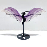 Unique Fluorite Flying Dragon Wing With Stand - Wholesale Crystals
