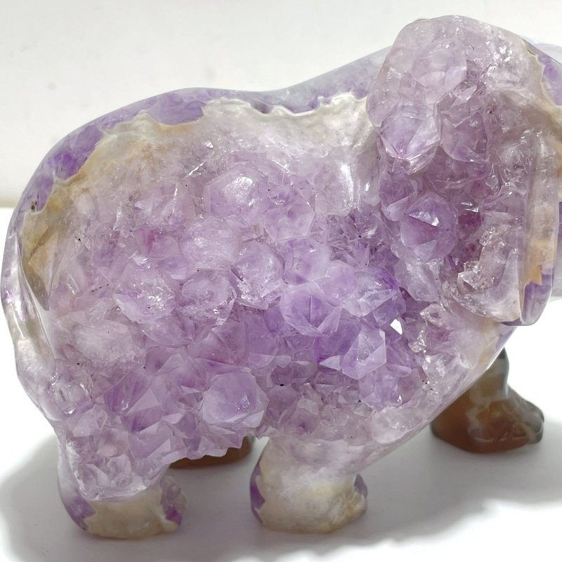 Unique Geode Amethyst Mixed Agate Druzy Elephant Animal Carving A03 - Wholesale Crystals