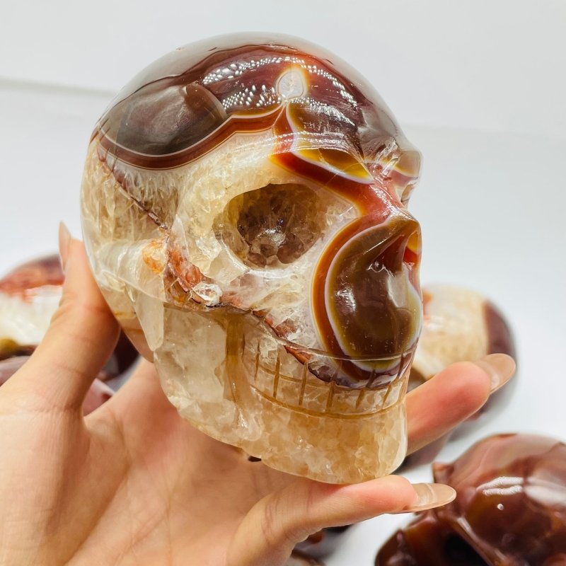 10 Pieces Carnelian Large Skull Carving -Wholesale Crystals