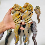 11 Pieces Ocean Jasper Seahorse Carving -Wholesale Crystals
