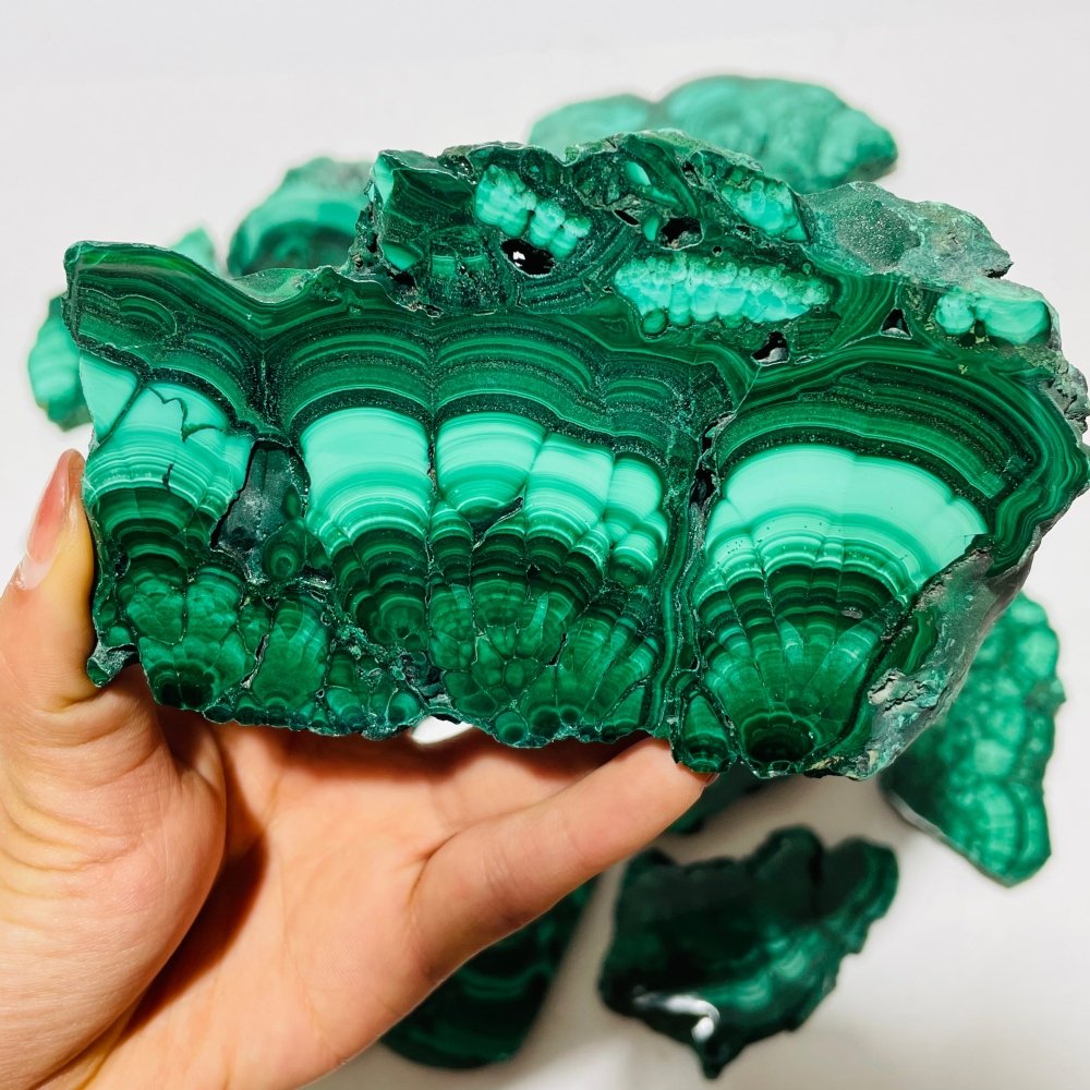 12 Pieces High Quality Polished Malachite Slab -Wholesale Crystals