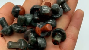 Africa Blood Stone Mushroom Wholesale -Wholesale Crystals