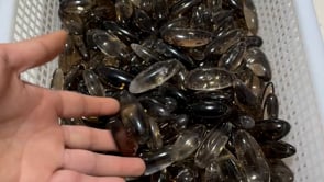High Quality Clear Smoky Quartz Long Tumbled Bullet Shape Wholesale -Wholesale Crystals