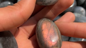 Purple Yellow Labradorite palm stone wholesale -Wholesale Crystals