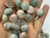 85 Pieces Sakura Agate Turtle Shell Carving