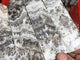 Grey Calcite Four-Sided Tower Point Wholesale -Wholesale Crystals