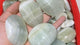 Green Calcite Palm Crystal Wholesale