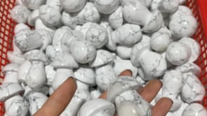 Howlite Mushroom Wholesale -Wholesale Crystals