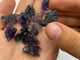 Mini Rainbow Fluorite Dragon Head Carving Wholesale -Wholesale Crystals