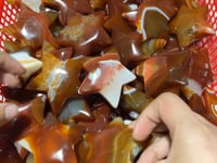 High Quality Carnelian Star & Moon Wholesale -Wholesale Crystals