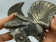 2 Pieces Pyrite Eagle Carving -Wholesale Crystals