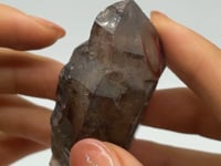 A15 Scepter Super7 Amethyst Enhydro Crystal