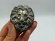 Pyrite Lion Head Carving Wholesale -Wholesale Crystals
