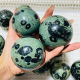 16 Pieces Kambaba Jasper Spheres -Wholesale Crystals