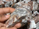 Moroccan Agate Free Form Wholesale -Wholesale Crystals