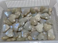 66 Pieces High Quality Moonstone Heart