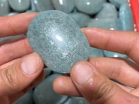 Natural Amazonite Palm Wholesale -Wholesale Crystals