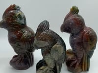 3 Pieces Large Ocean Jasper Parrot Carving -Wholesale Crystals