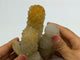 High Quality Yellow Cactus Quartz Cluster -Wholesale Crystals