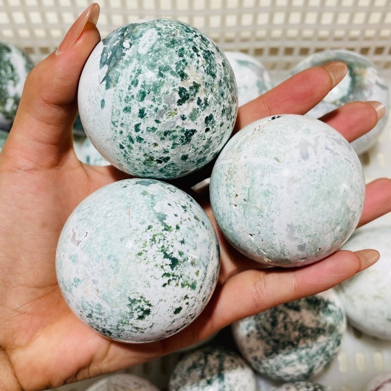 21 Pieces White Moss Agate Spheres -Wholesale Crystals