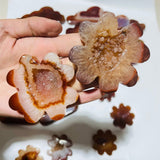 23 Pieces Geode Carnelian Carving -Wholesale Crystals