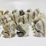 29 Pieces Clear Quartz Cluster Squirrel Carving -Wholesale Crystals