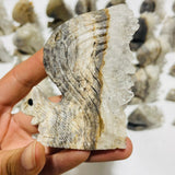 29 Pieces Clear Quartz Cluster Squirrel Carving -Wholesale Crystals