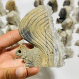 29 Pieces Clear Quartz Cluster Squirrel Carving -Wholesale Crystals