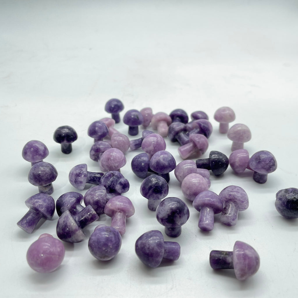 Lepidolite&India Agate Mushroom Wholesale -Wholesale Crystals