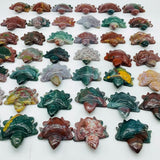 41 Pieces Colourful Ocean Jasper Sea Turtle Carving -Wholesale Crystals