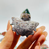 41 Pieces Colourful Ocean Jasper Sea Turtle Carving -Wholesale Crystals